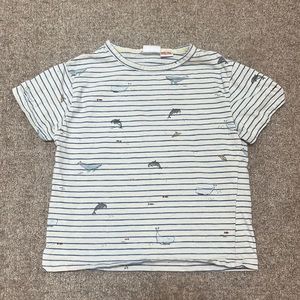 Zara Baby Boy Shirt